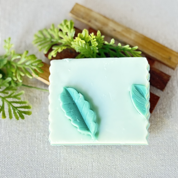 Plantitas Soap